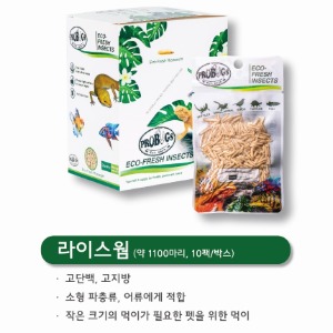 [프로벅스] Eco-Fresh 라이스웜 1박스(10봉) 11000마리
