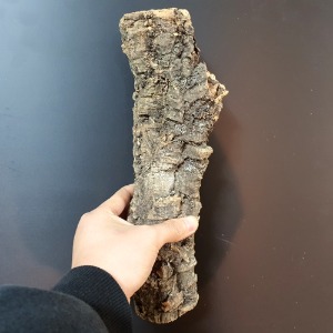코르크브렌치 파충류용 나무몽둥이 30cm